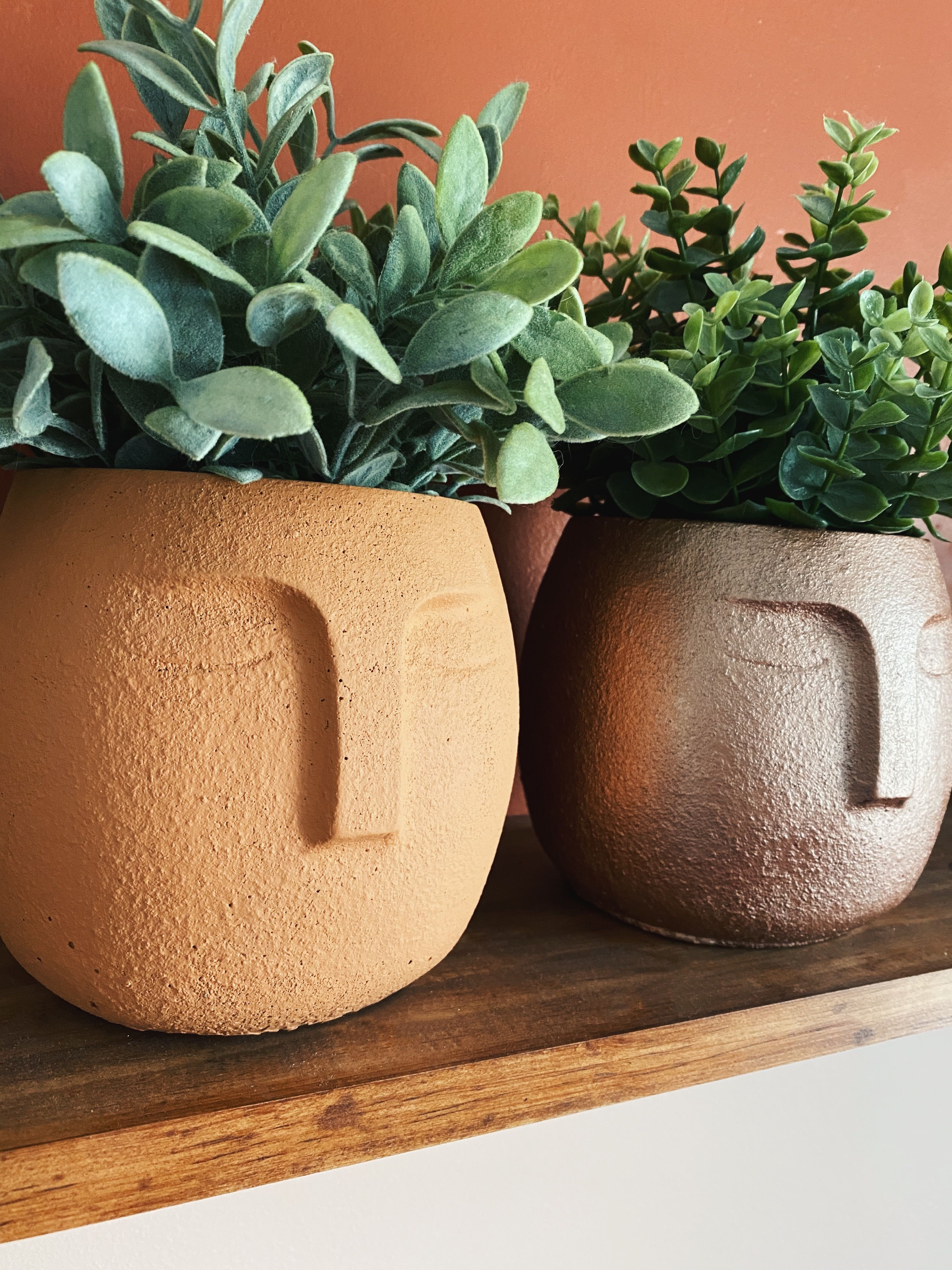Large Face Planter