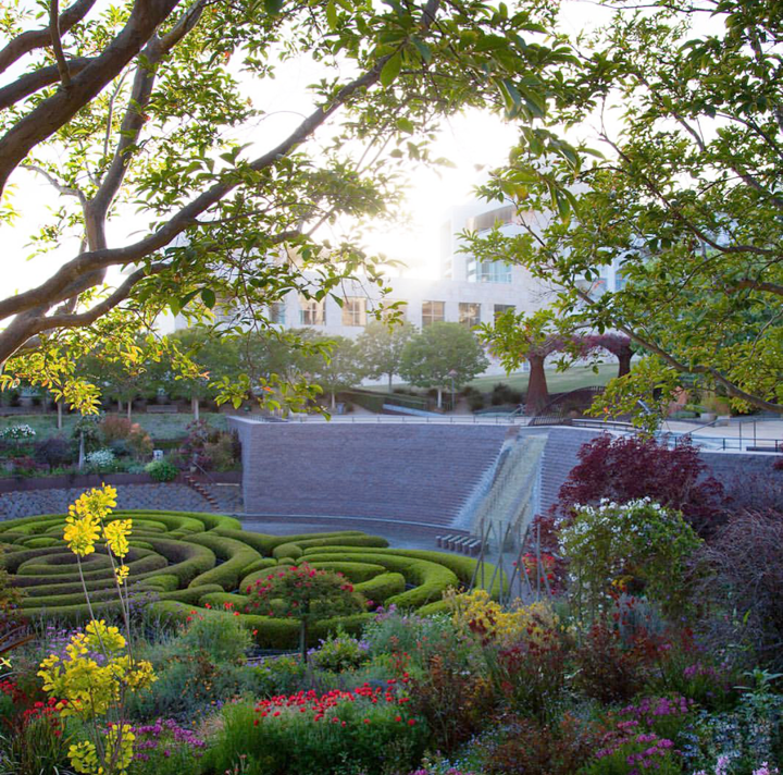 Robert Irwins Getty Garden