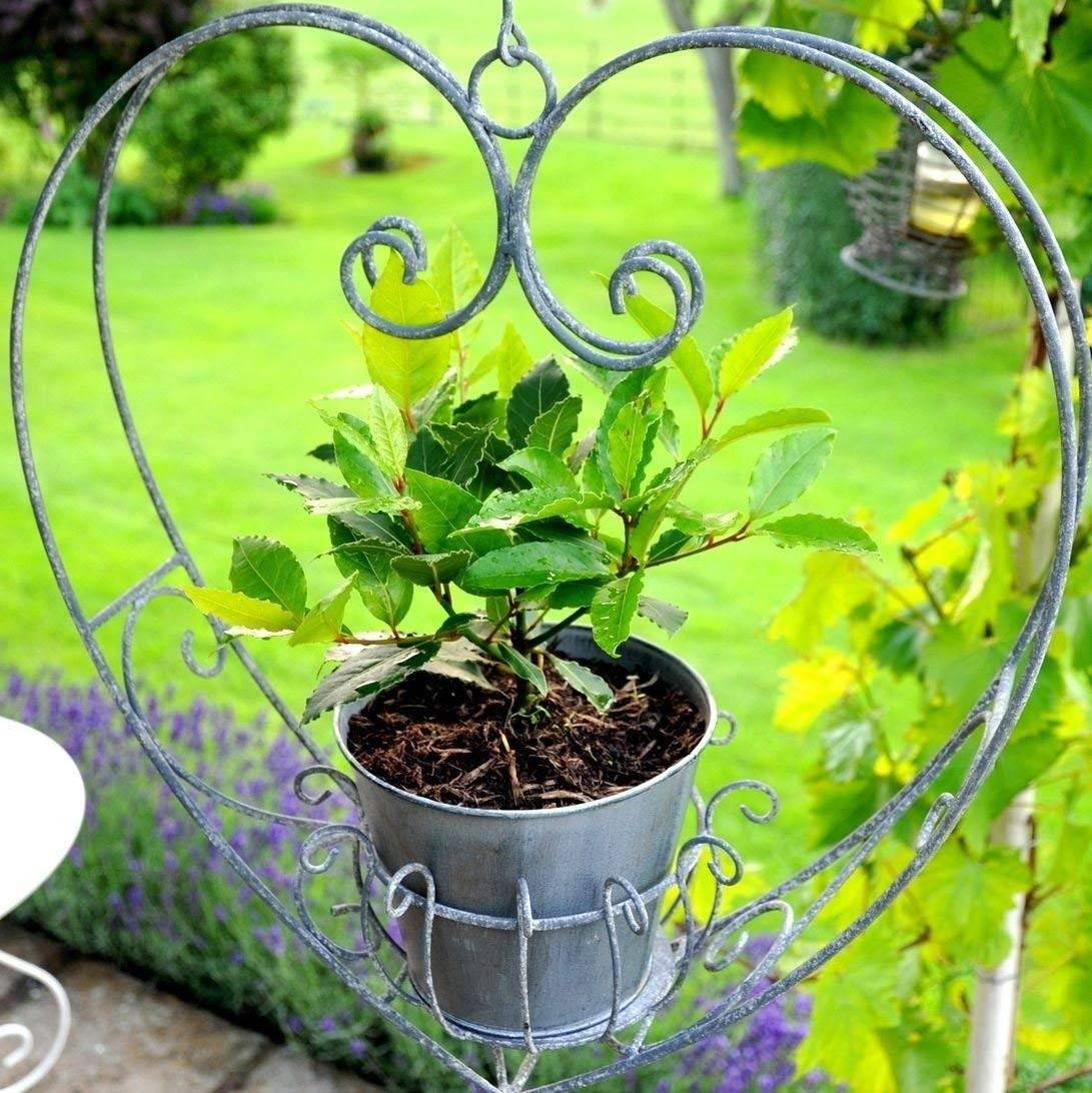 Graceful Container Garden Ideas