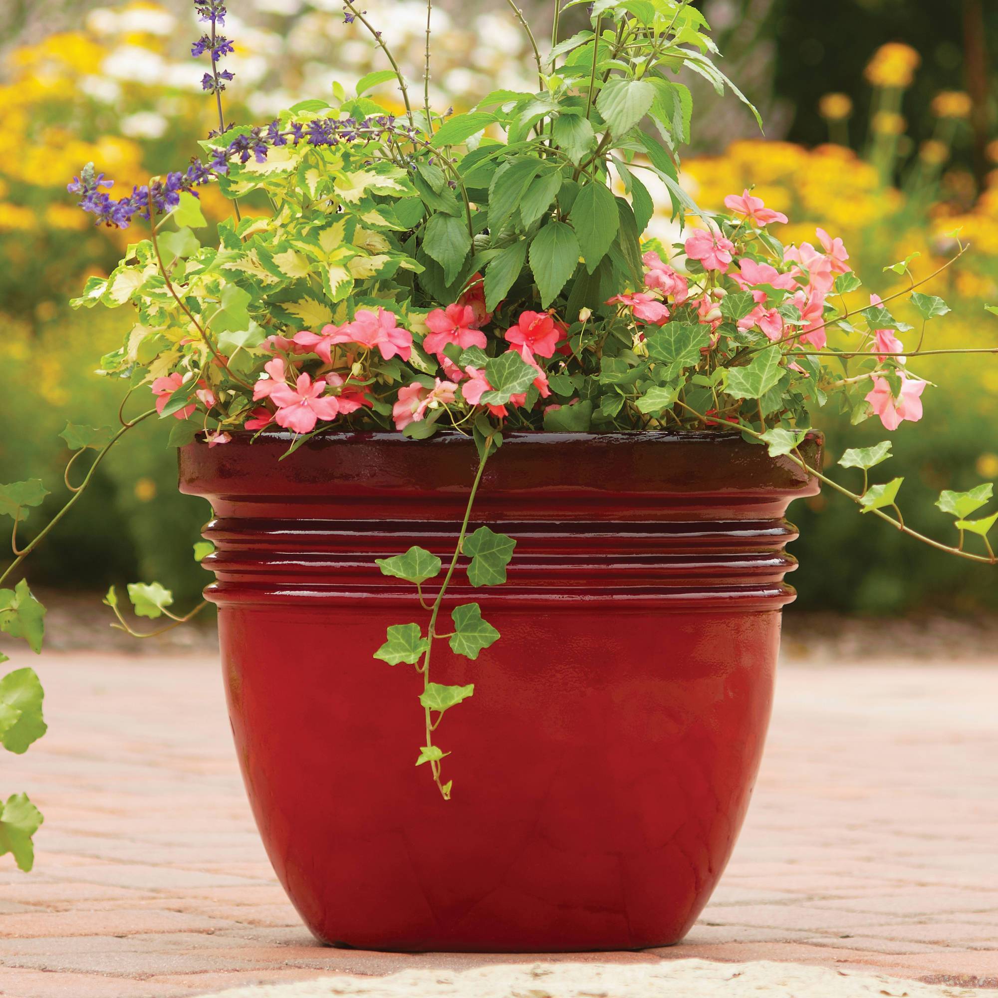 Beautiful Flower Pots