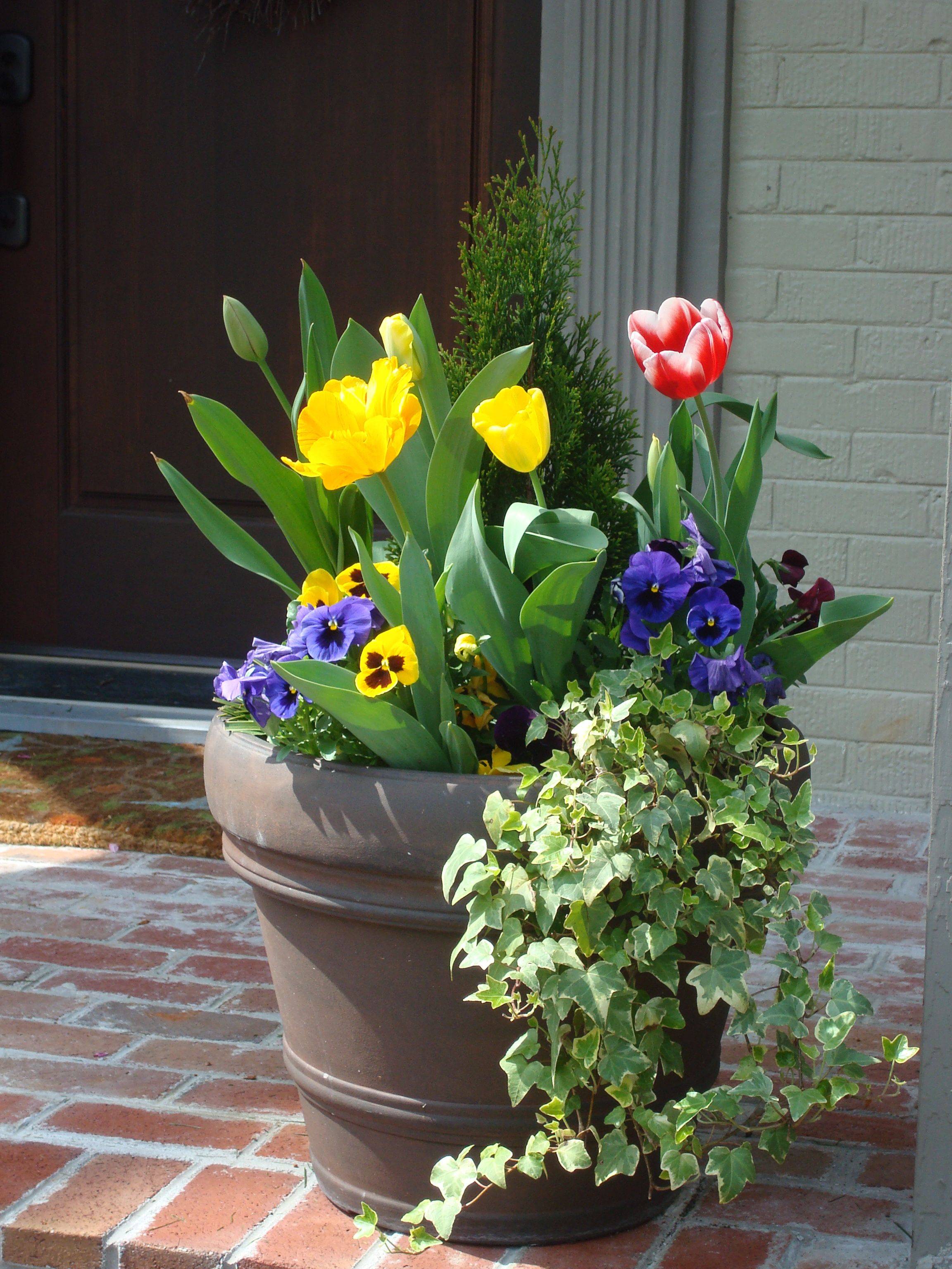 Beautiful Flower Pots
