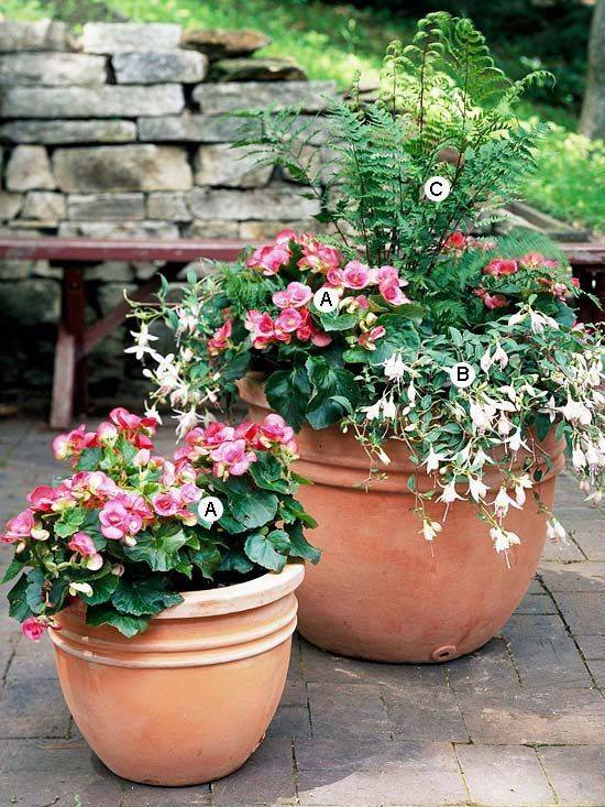 Summer Color Container Planting Ideas