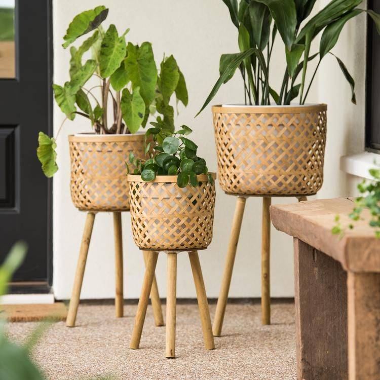 Tier Wooden Plant Stand