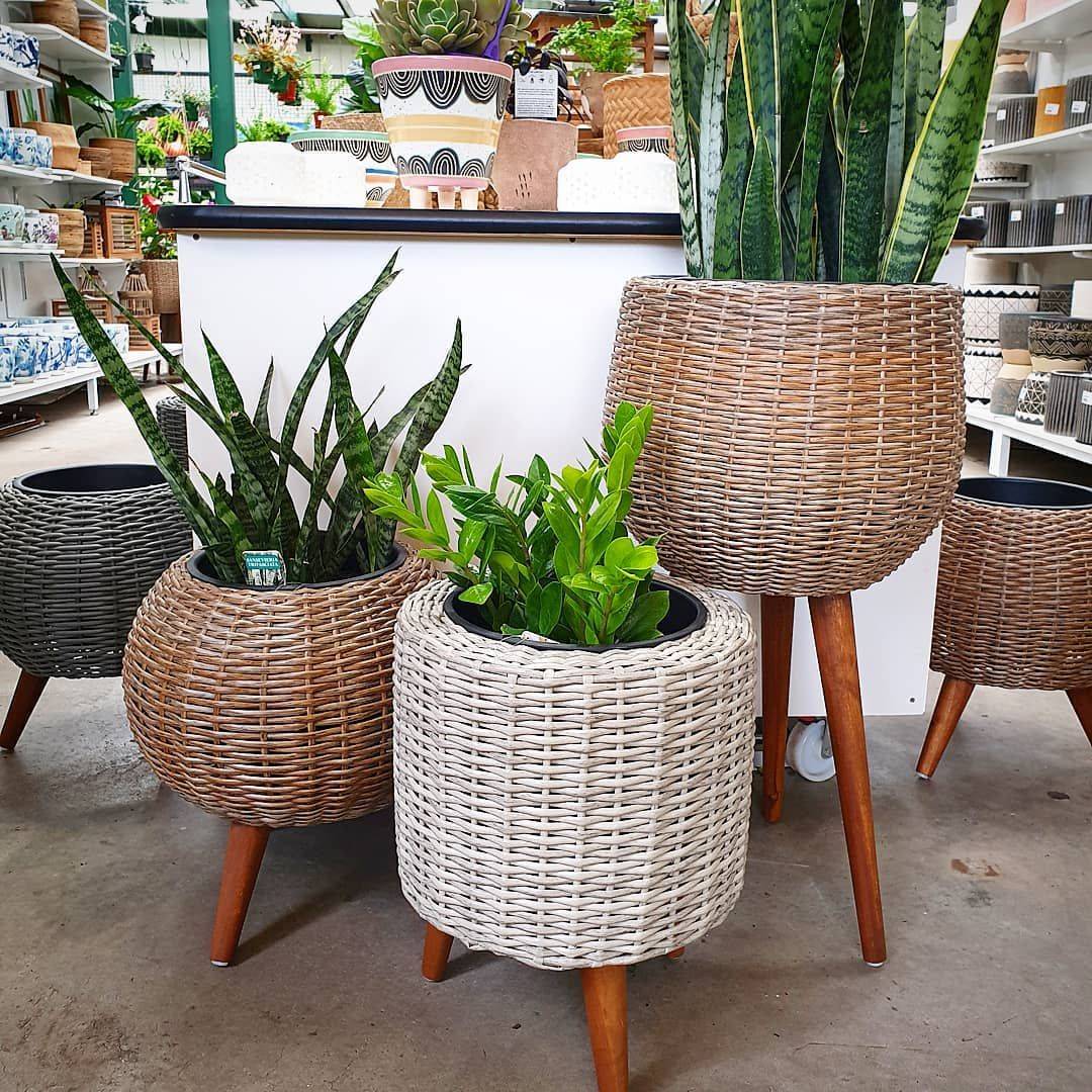 Fascinating Diy Plant Stand Design Ideas