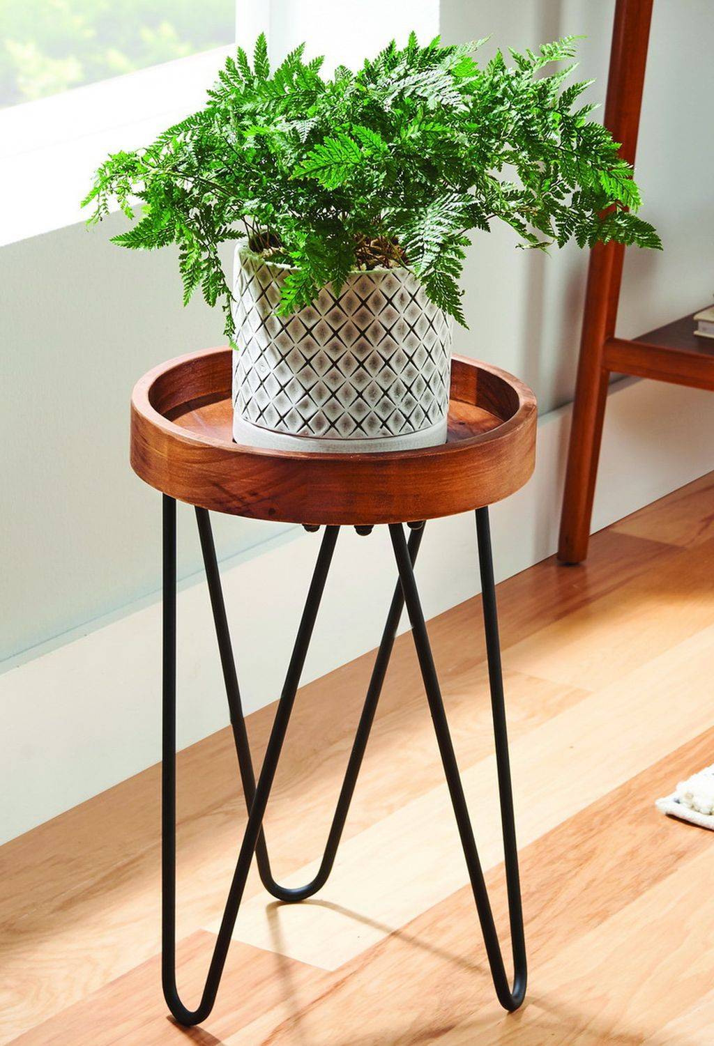 Some Simple Hanging Plant