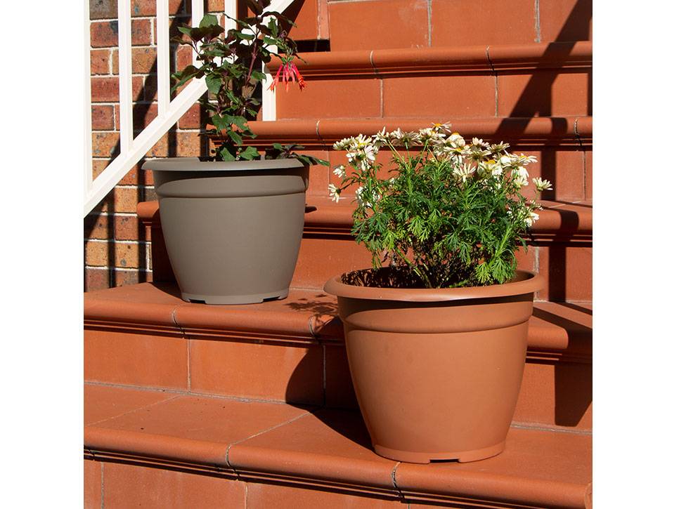 Xcm Succulent Herb Flower Basket Planter Plant Sky Bonsai Green