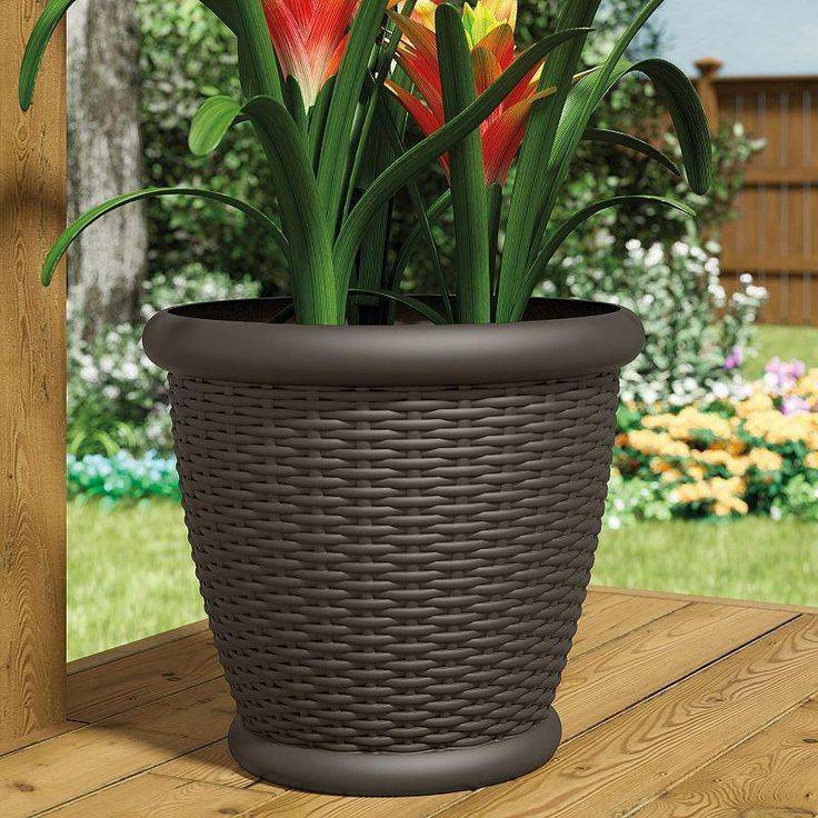 Container Gardening Top Home Information
