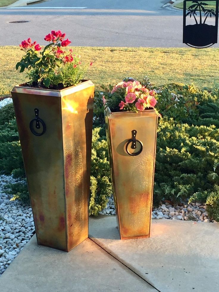 Shop Amazon Planters Indoor