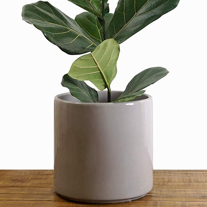 Thwarm Chinese Style Indoor Succulent Green Plant Pot Ceramic Flower