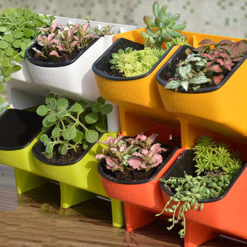 Planter Ideas