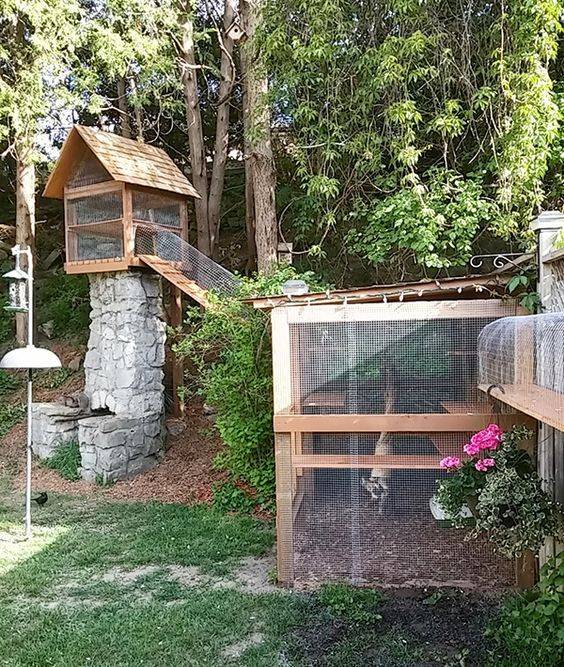 Awesome Outdoor Bunny Cage Ideas