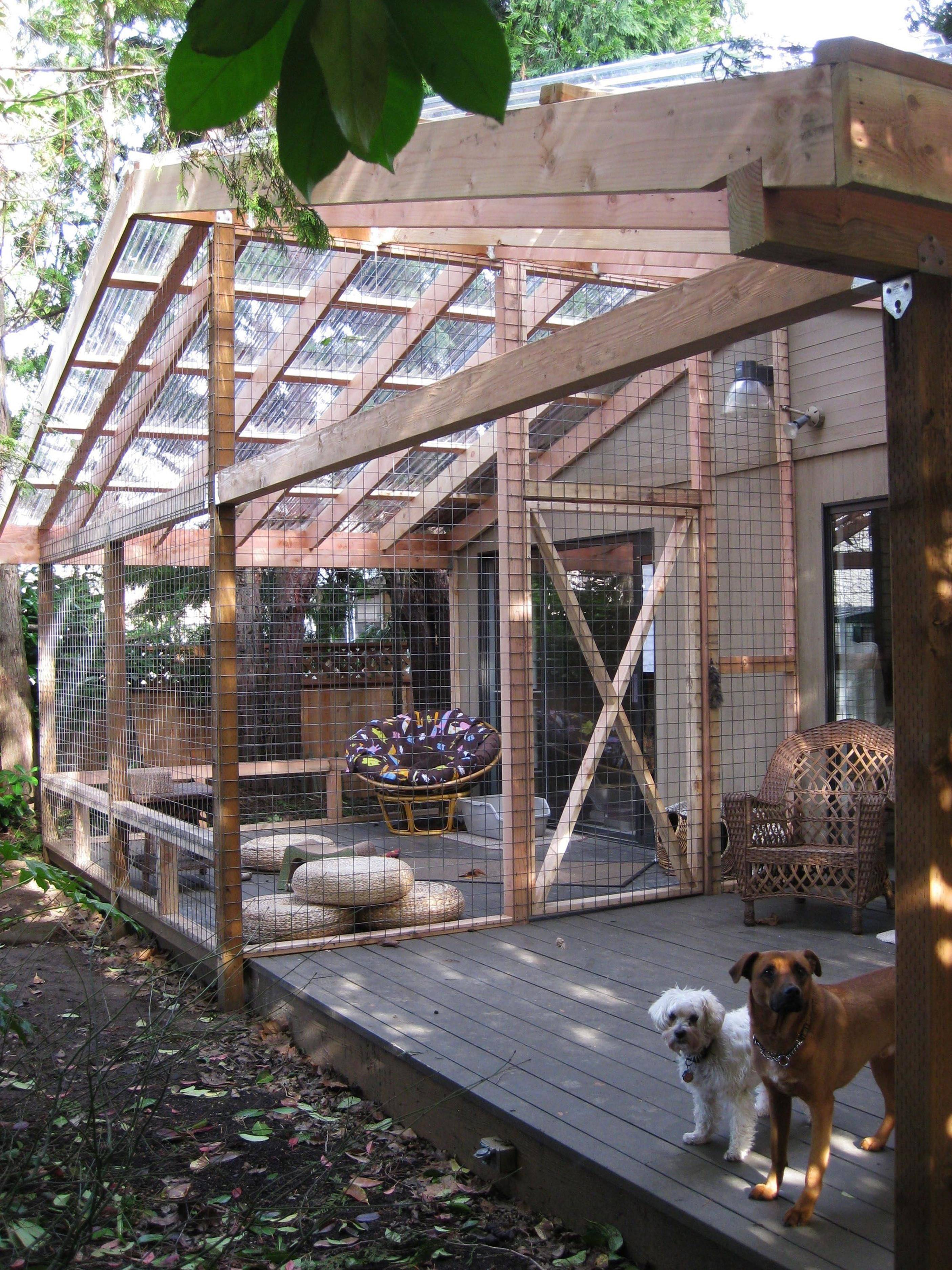 Backyard Cat Enclosure
