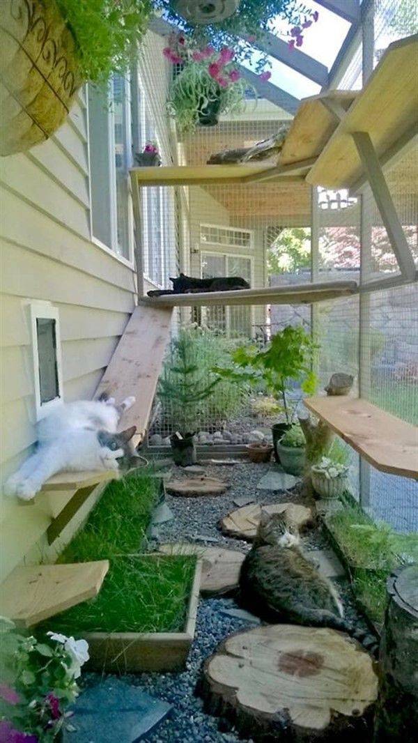 Secured Cat Garden Design Balcony