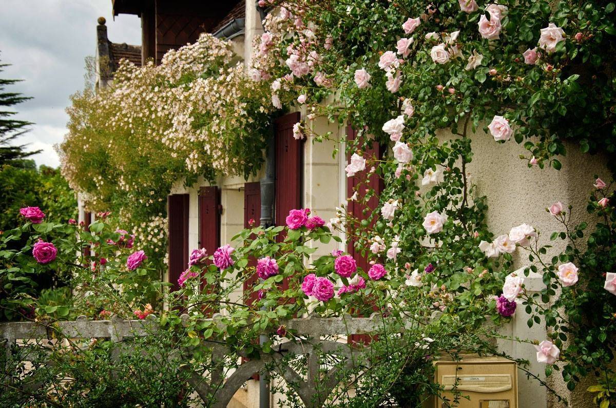 Stunning Large Contemporary Garden