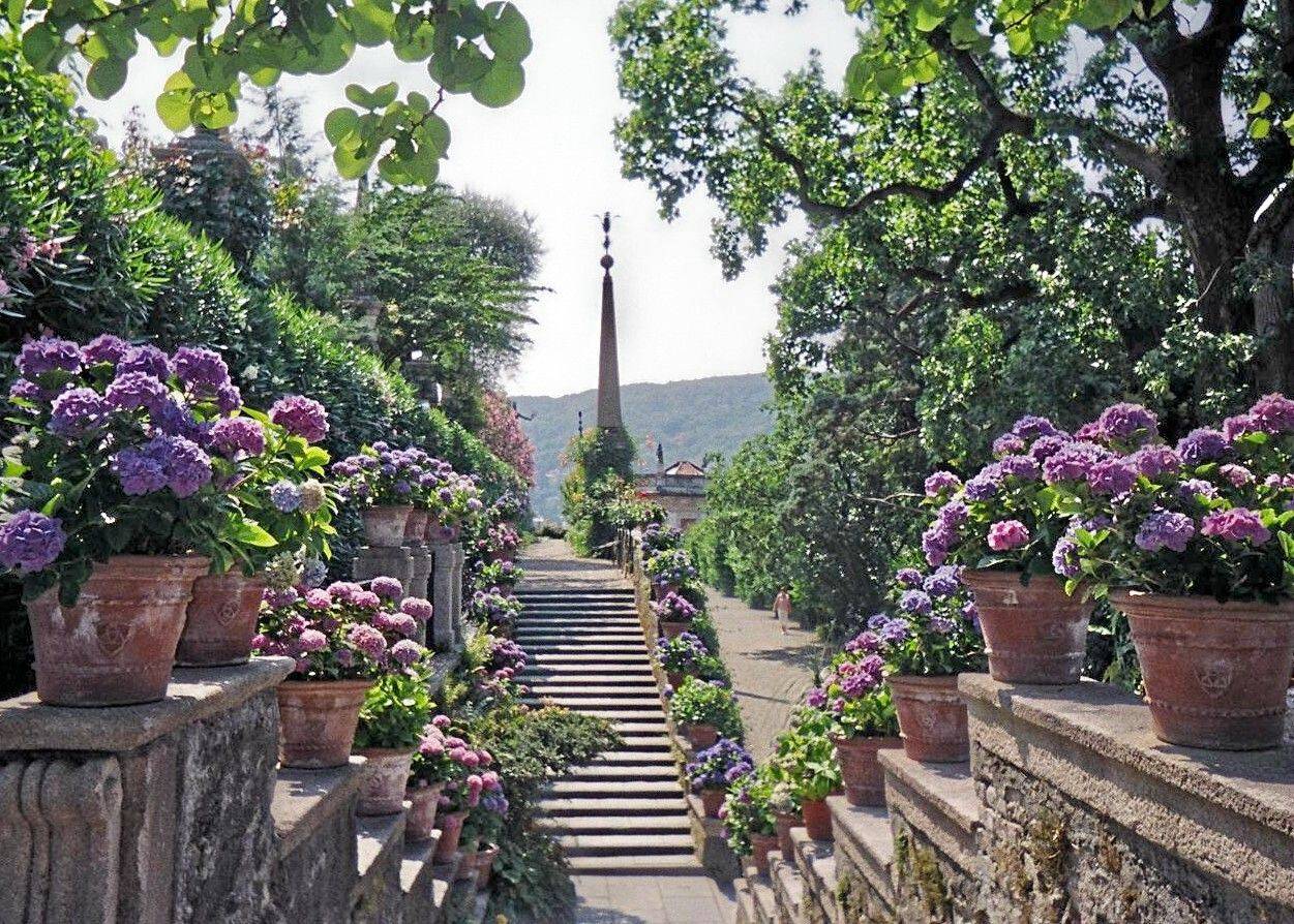 Palace Gardens