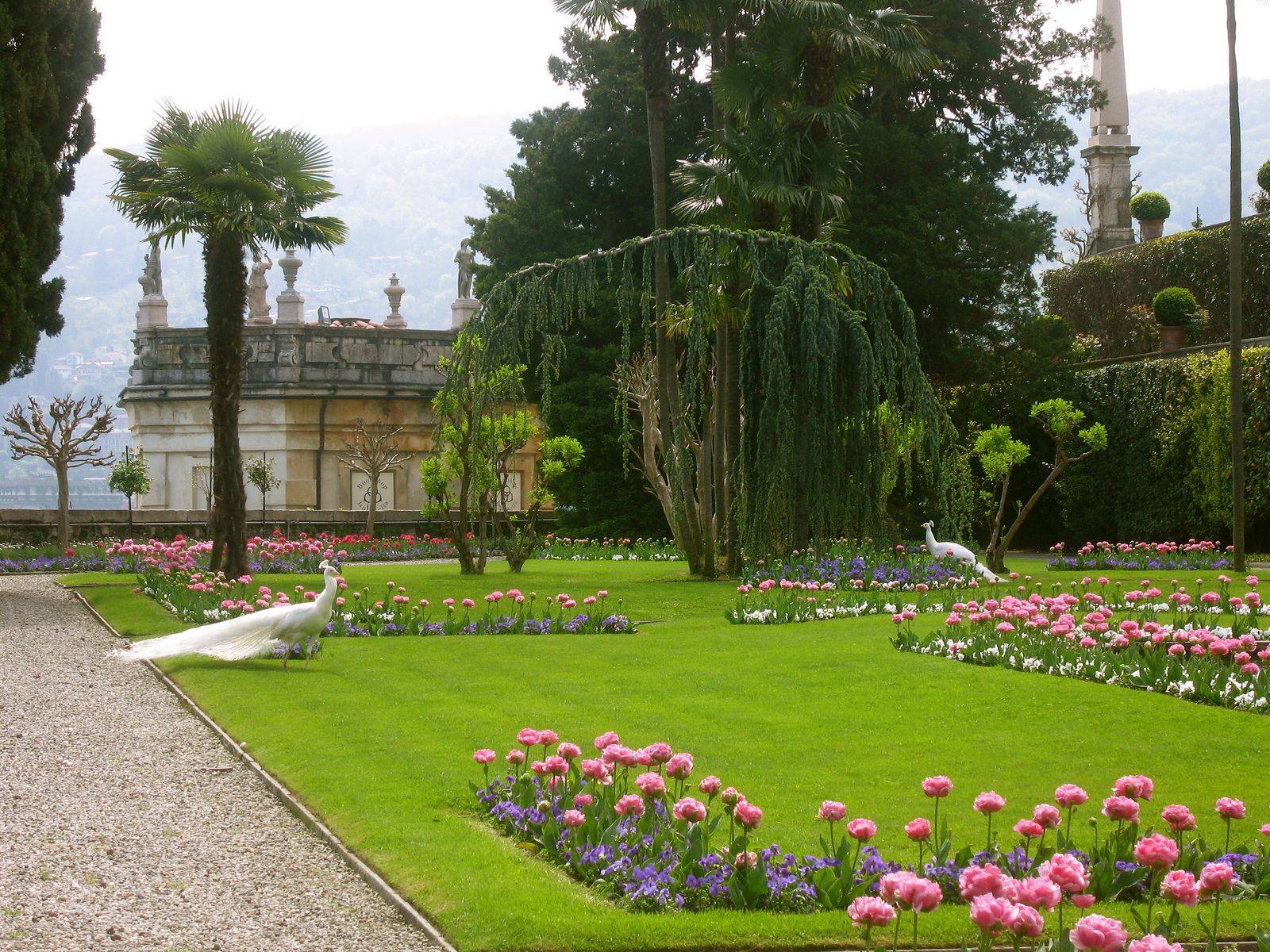 Isola Bella Gardens