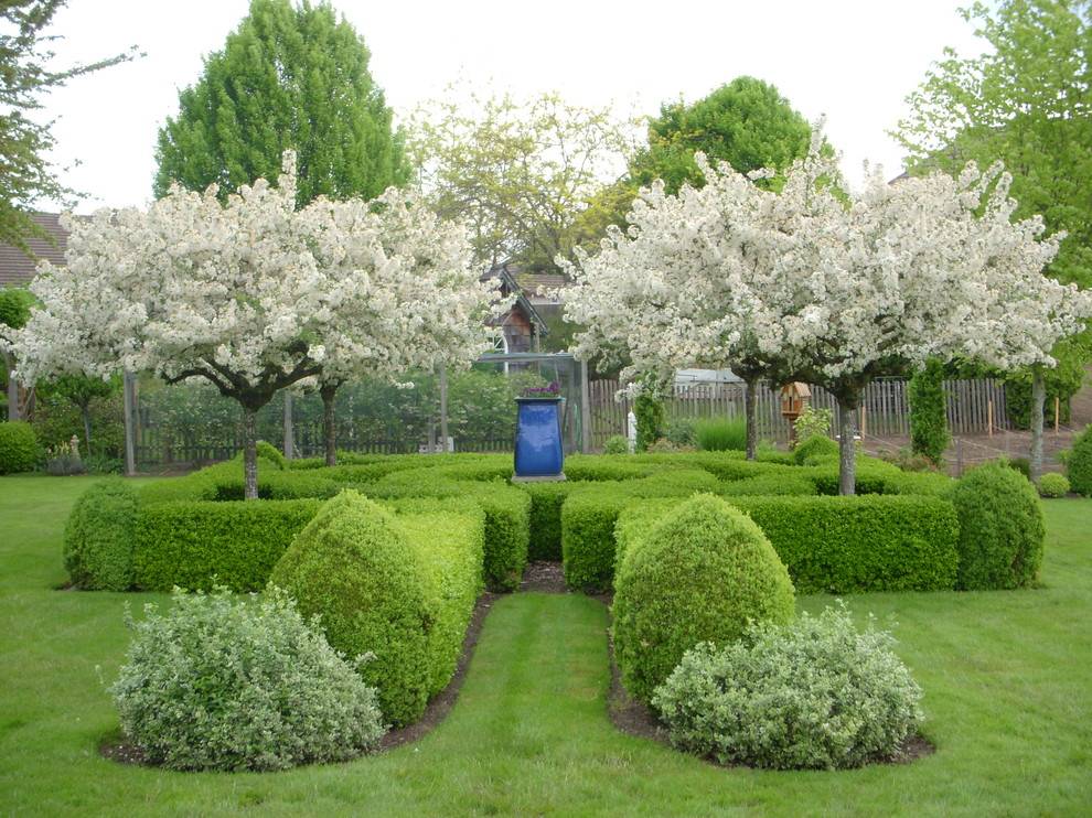 The Most Unusual Garden Topiary