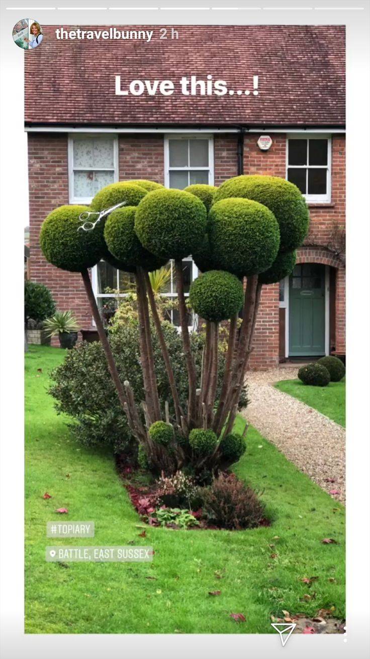 The Best Public Topiary Gardens Longwood Gardens