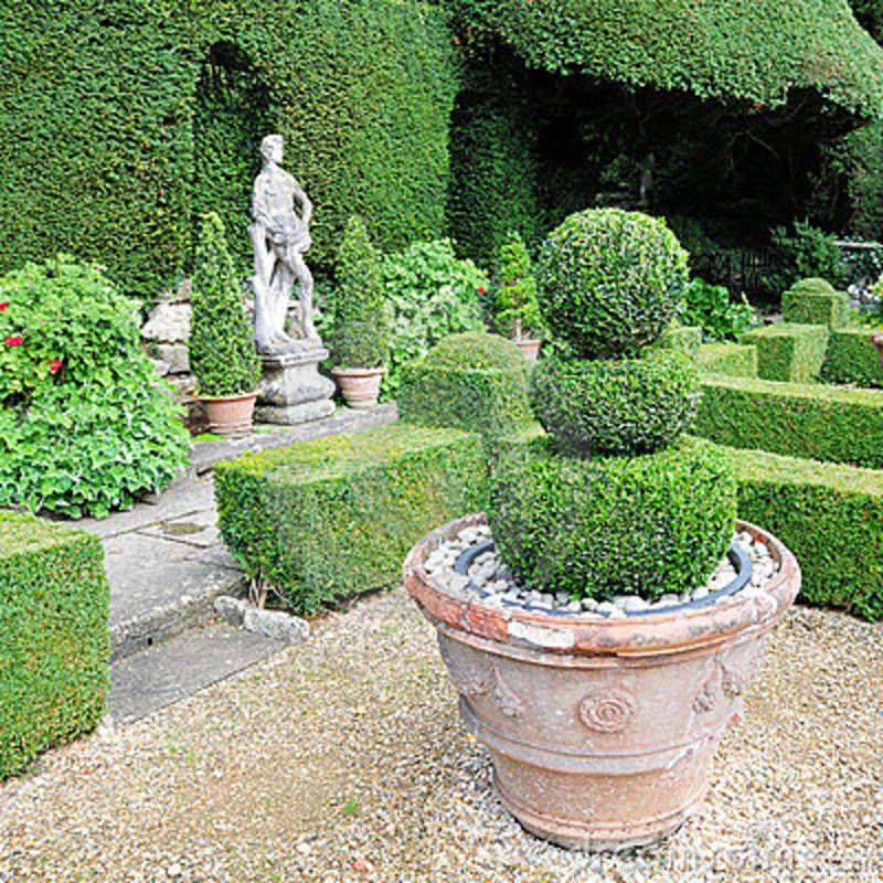 Topiary Tuesday