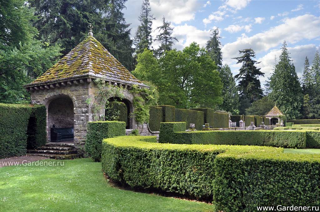 Glamis Castle Gardens