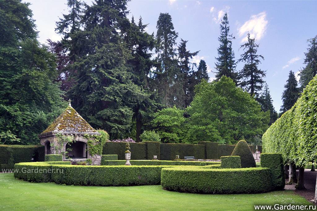 Glamis Castle Gardens