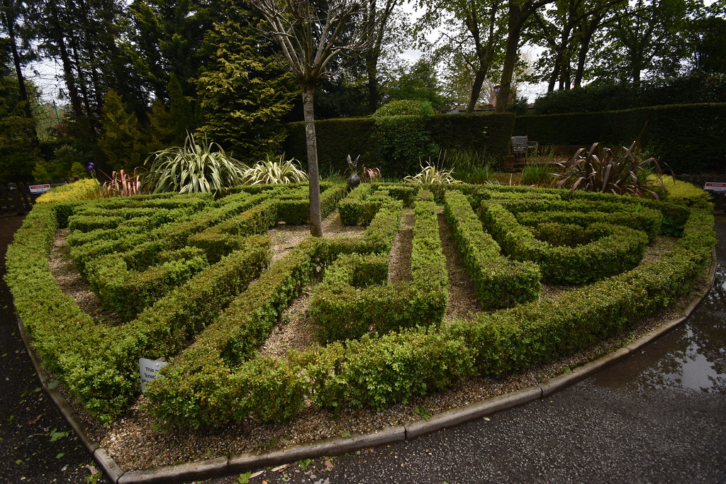 A Garden Maze