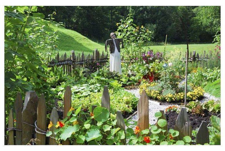 Best Attractive Vegetable Garden Design