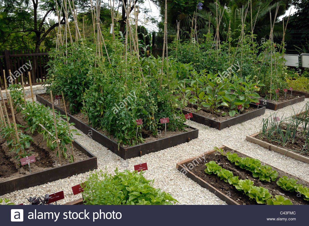 Backyard Tuscan Garden