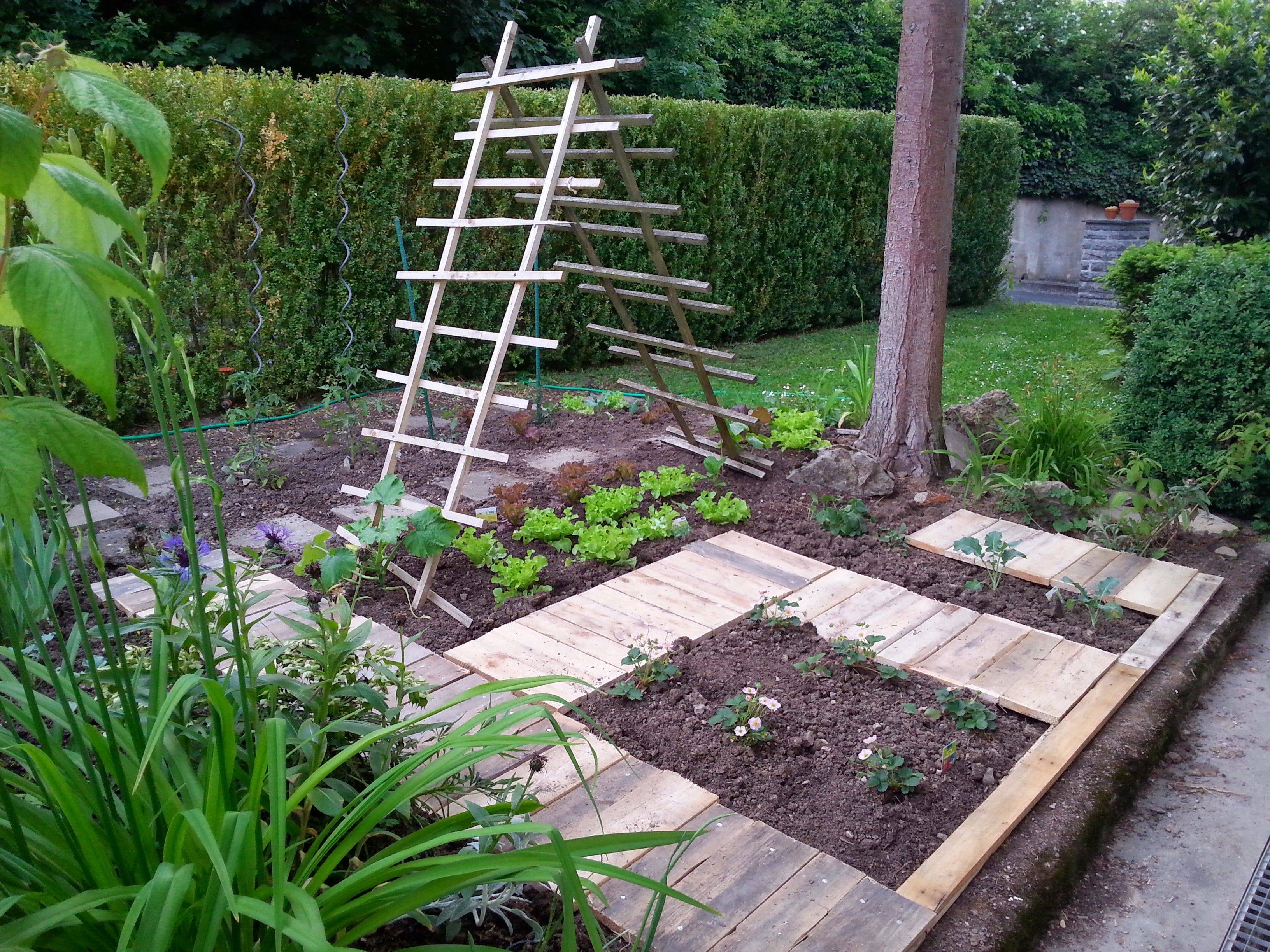 Kitchen Garden