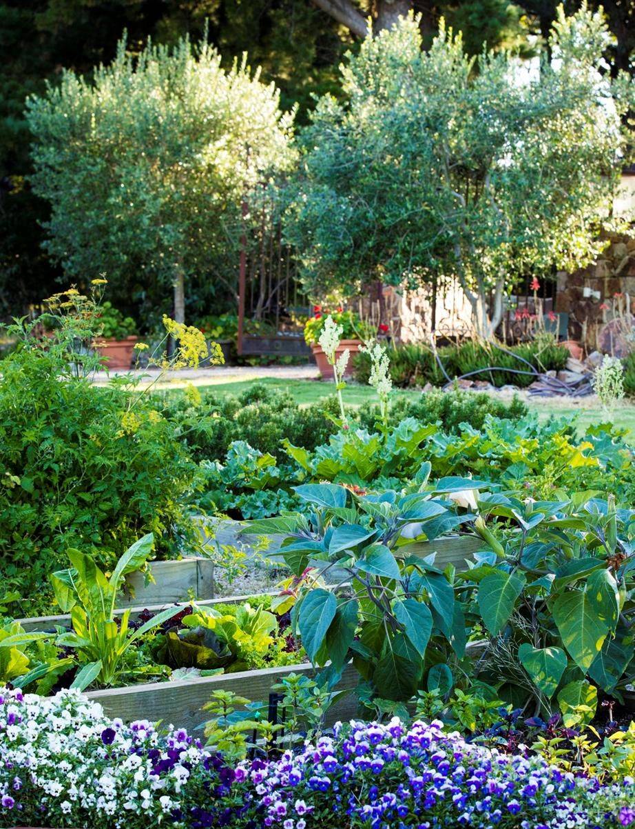 New Organic Gardening Techniques
