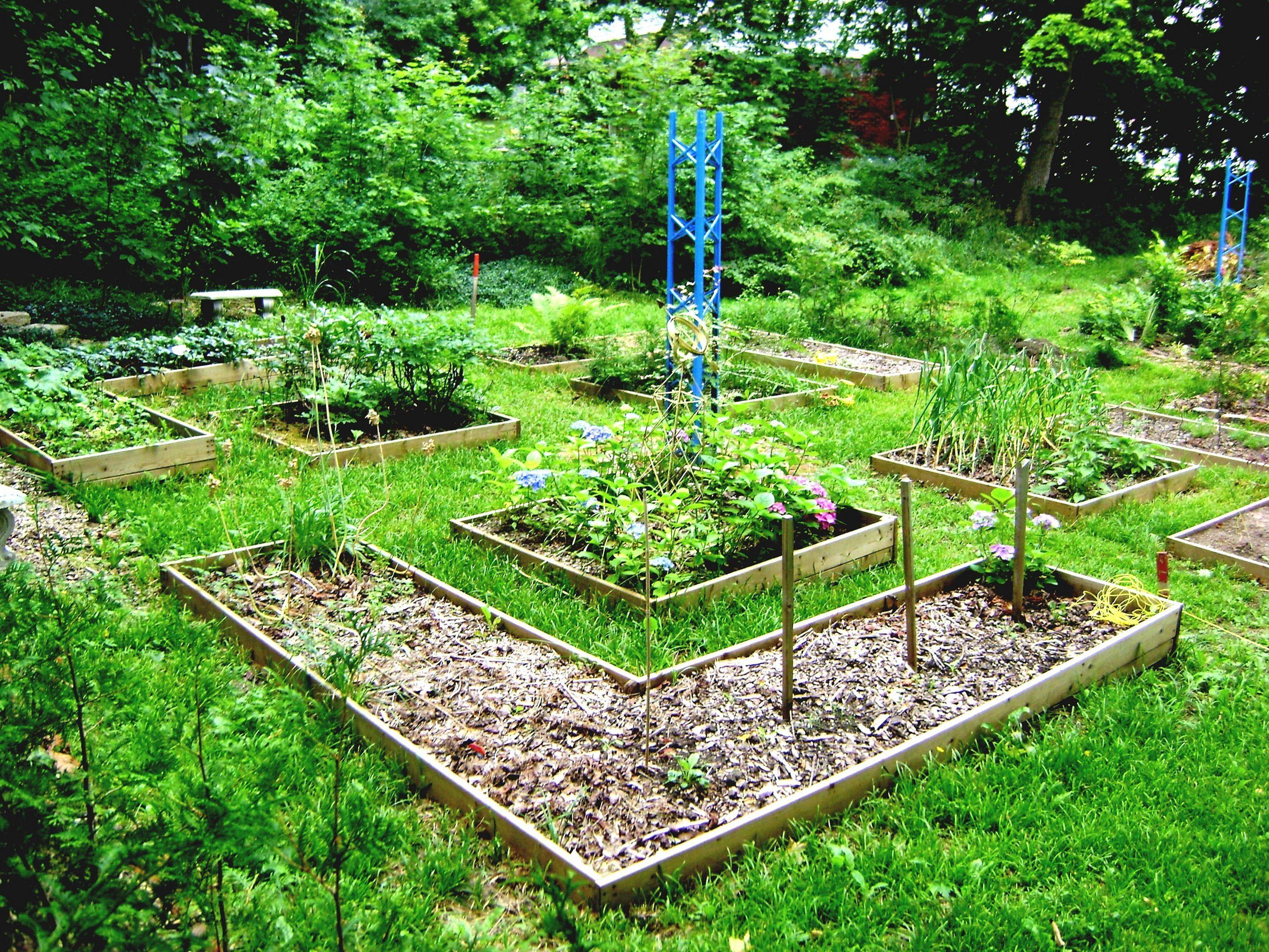 Pin By Backyard Unlimited On Kkstrdgrd Edible Landscaping Edible