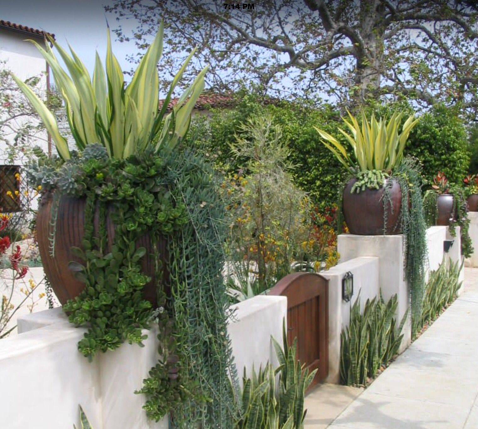 23 Italian Vegetable Garden Ideas To Consider SharonSable