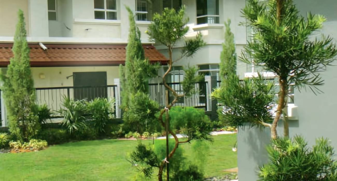 Contemporary Garden Semidetached Design Ideas