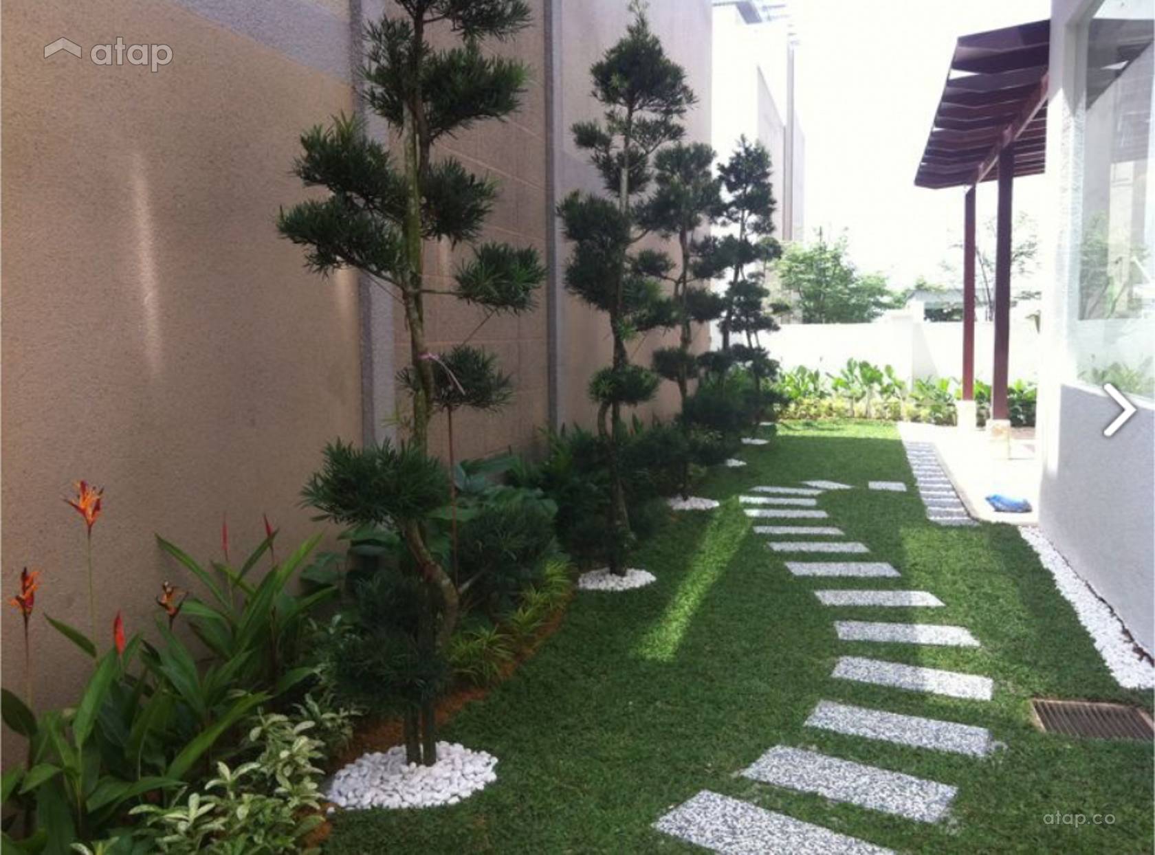 Contemporary Modern Garden Semidetached Design Ideas