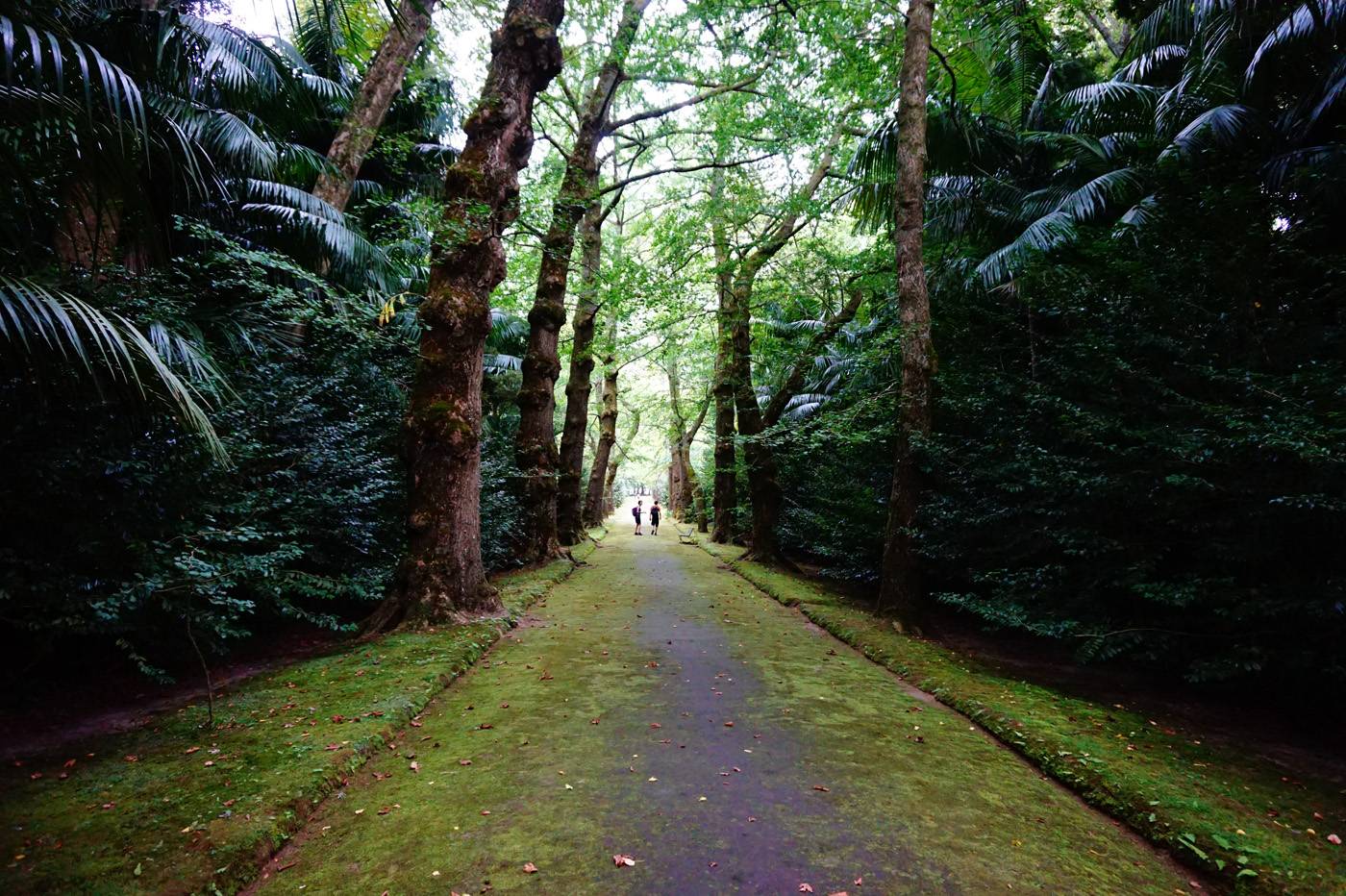 Sao Miguel
