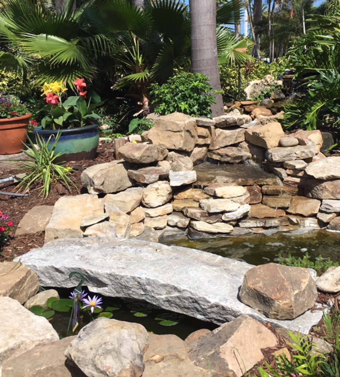 Paradise Aquascape