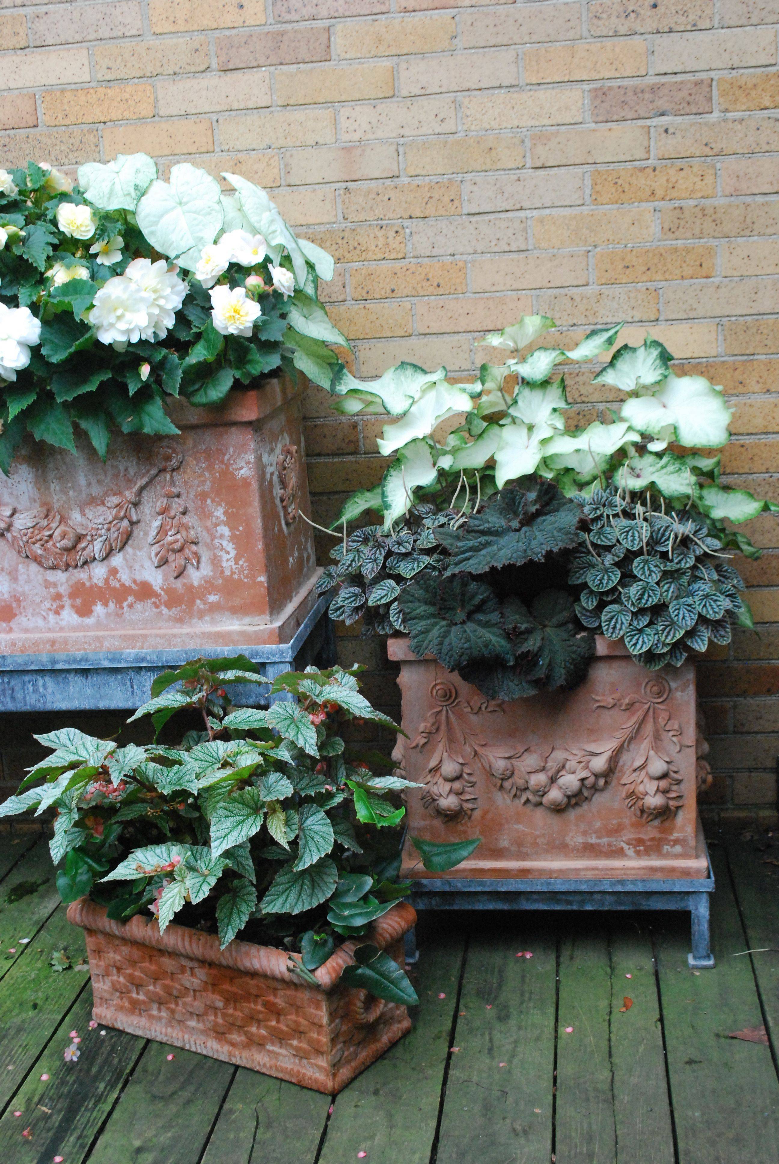 Terra Cotta Porch Planter Cream Threshold