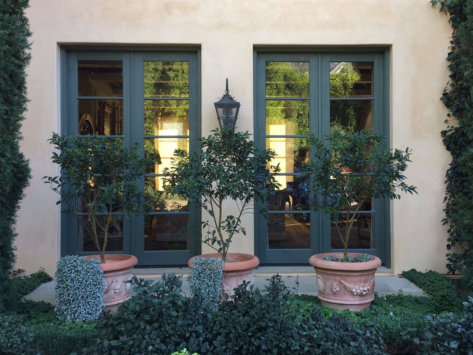 Porchsanta Barbara Mexican Feather Grass