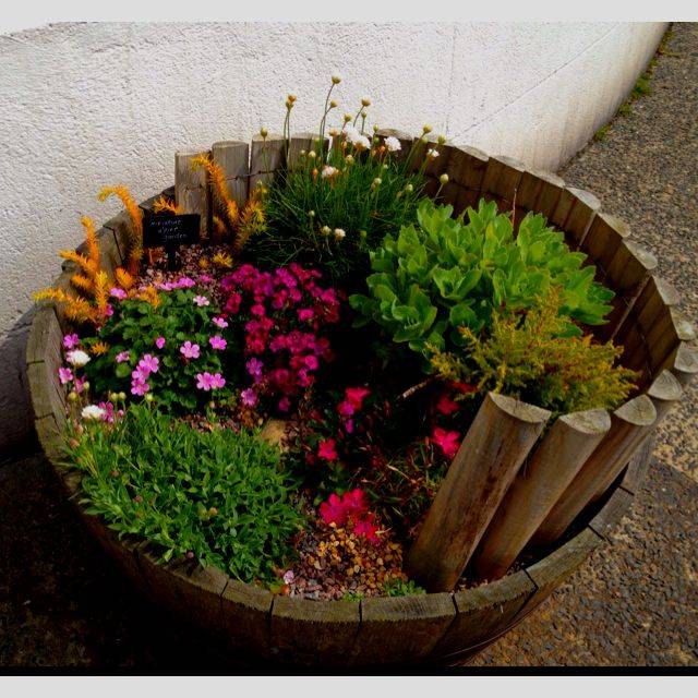Best Rock Garden Ideas Images