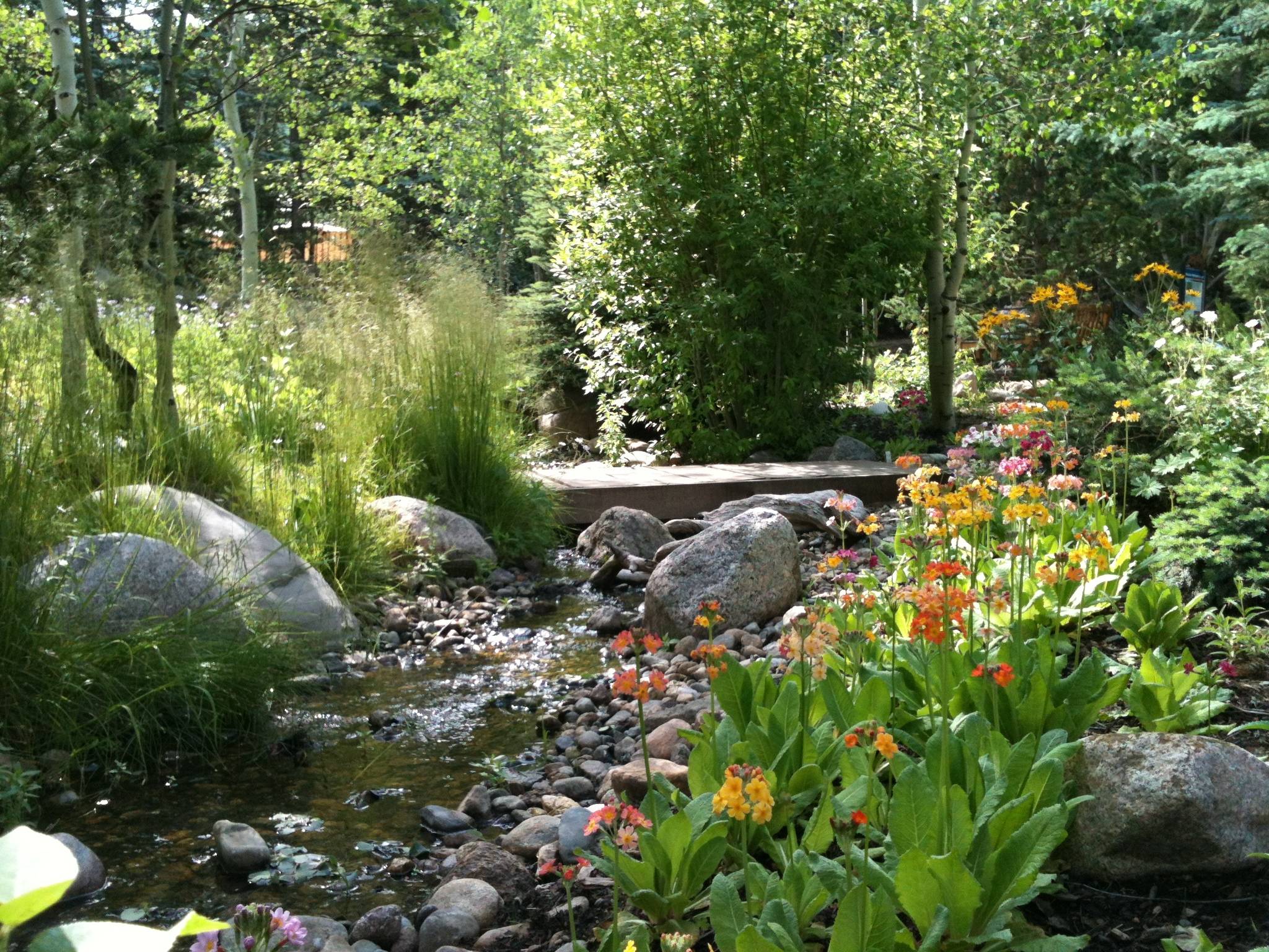 Flickr Alpine Garden