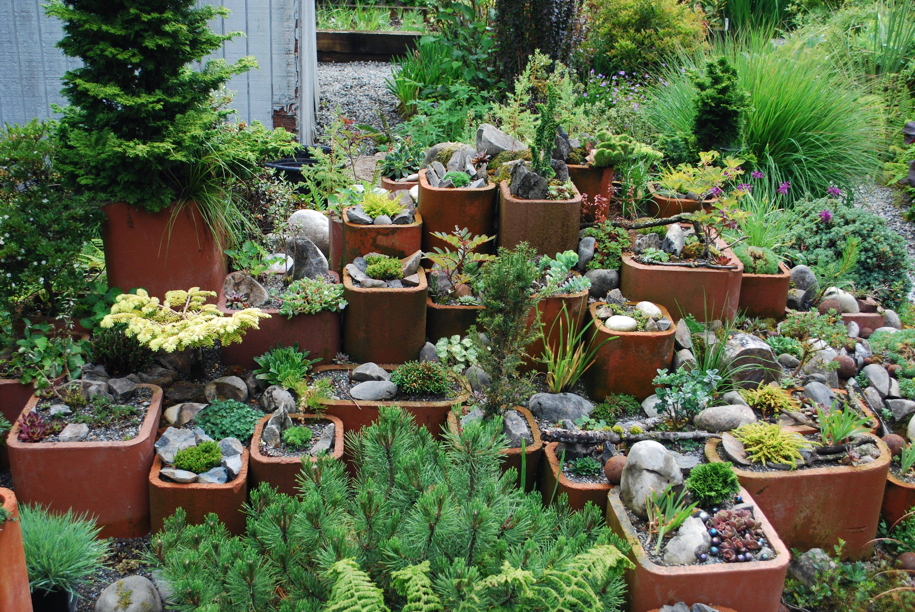 Alpine Garden
