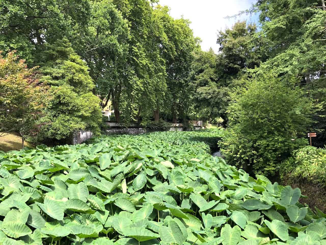 Terra Nostra Roarloudnet Roarloud