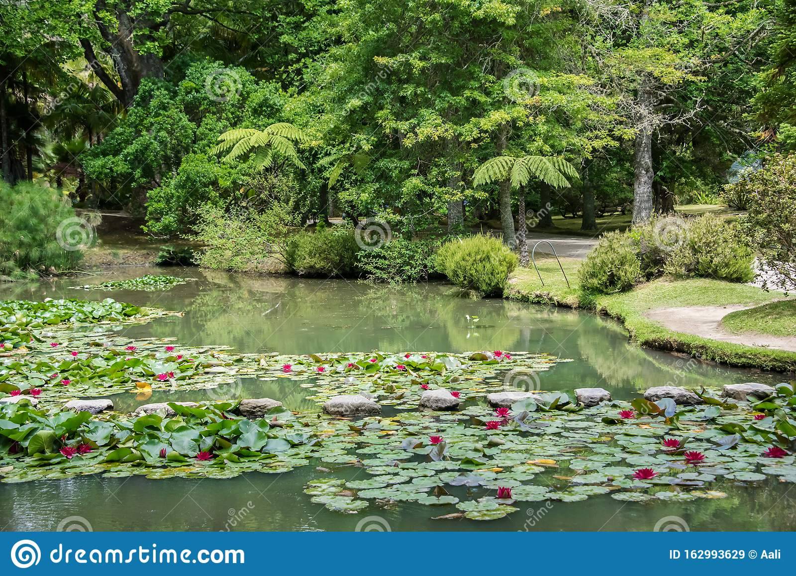 Terra Nostra Garden Hotel
