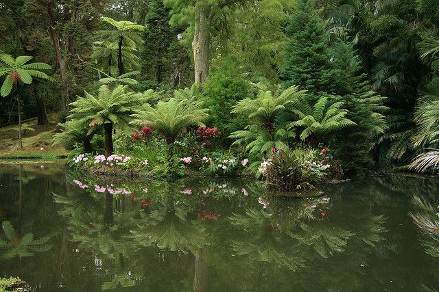 Bild Von Azores Private Tours