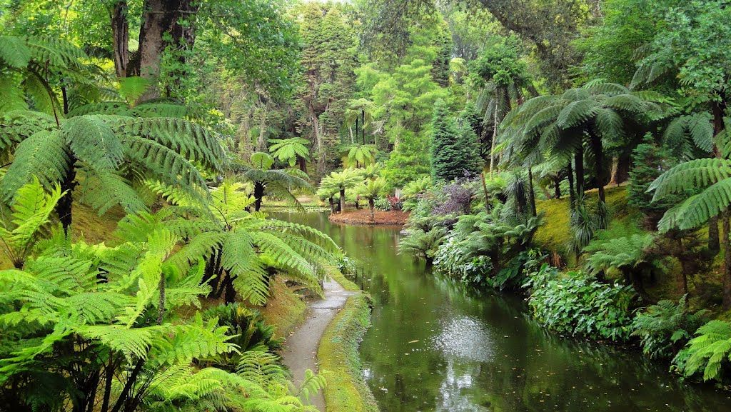 The Most Beautiful Gardens
