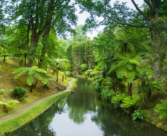 Terra Nostra Park In Azores Stock Image Image Of Azores Botanical