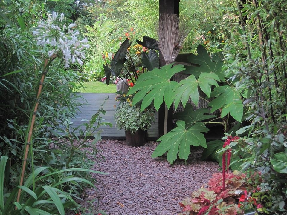 Terra Nova Fairy Garden