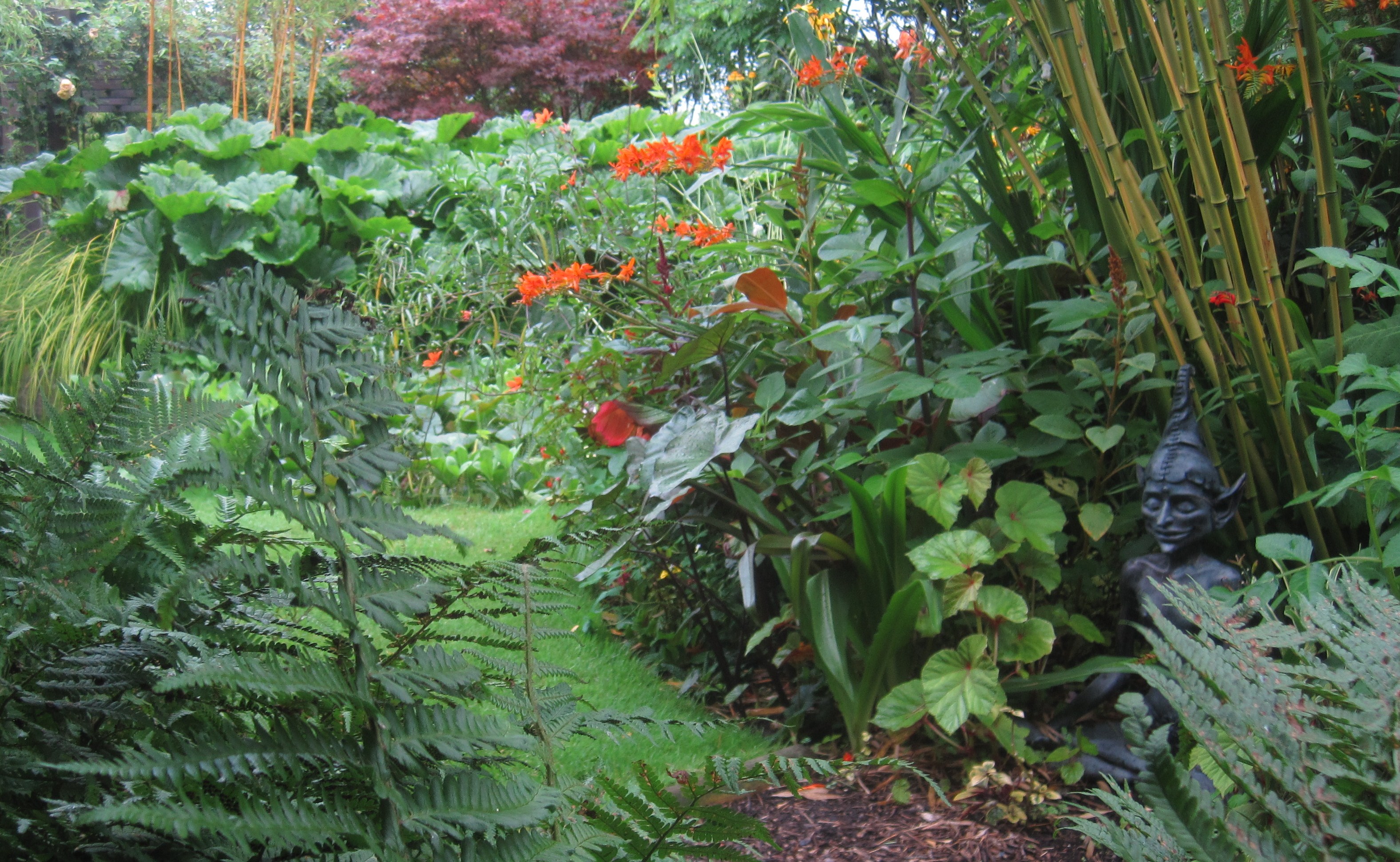 Limerick Terra Nova Fairy Garden