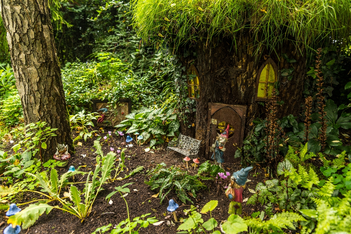 Limerick Terra Nova Fairy Garden