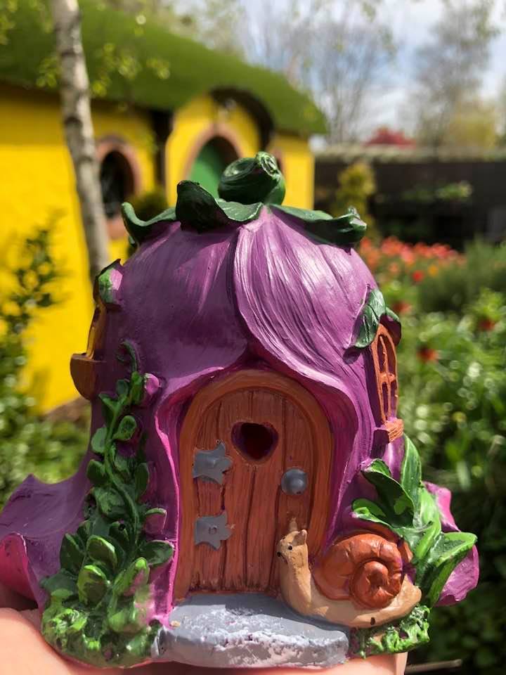 Terra Nova Fairy Garden Award